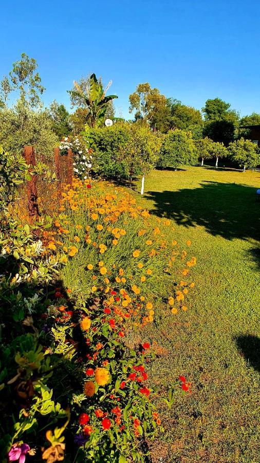 شقة Flora Pansiyon Cirali كمر المظهر الخارجي الصورة