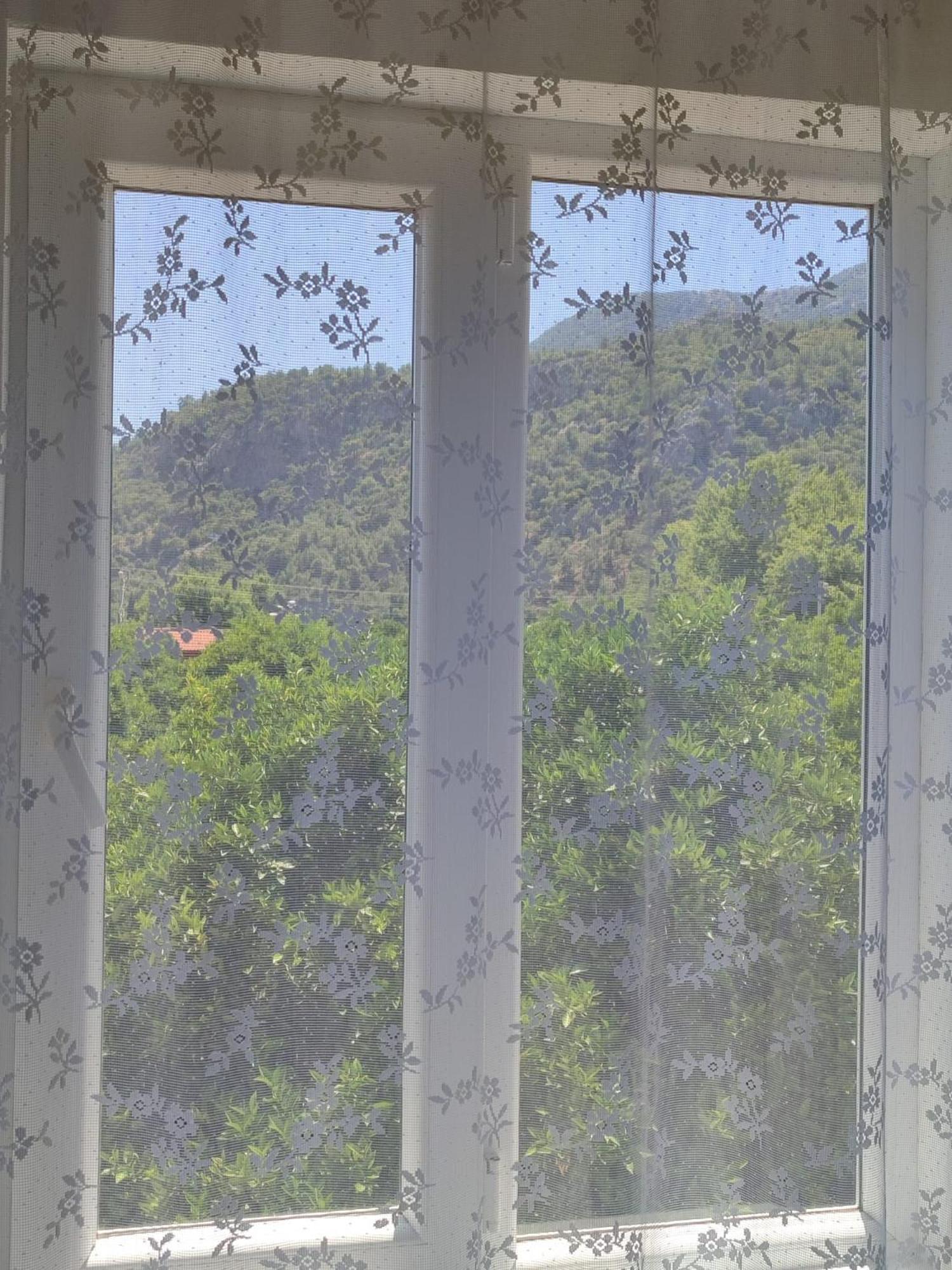 شقة Flora Pansiyon Cirali كمر المظهر الخارجي الصورة